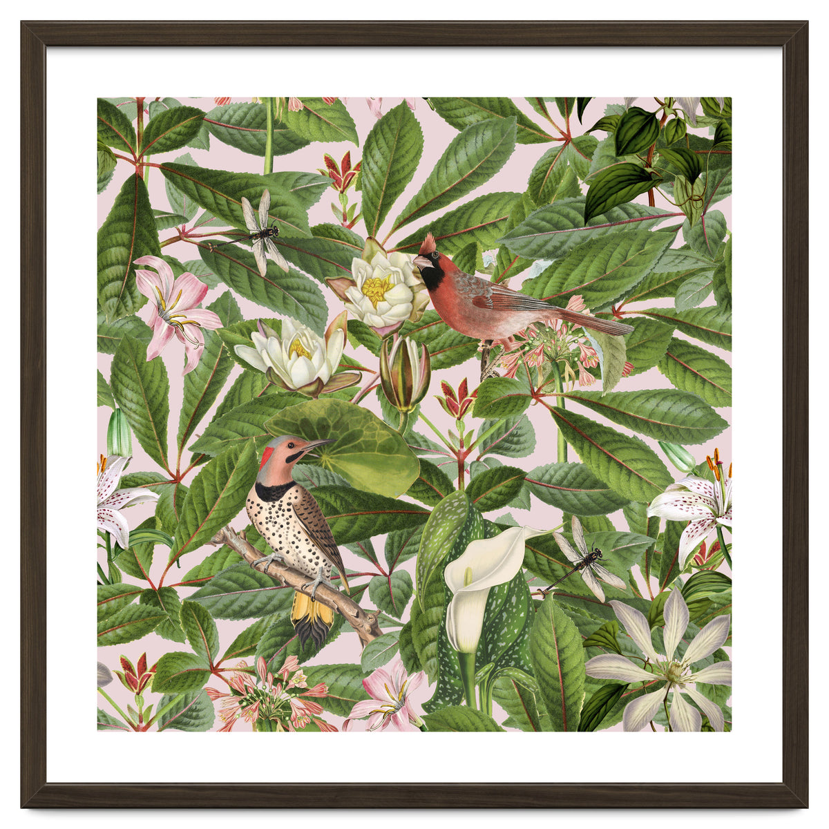 Tropical Bird Garden