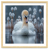 Swan Floating Serene On Calm Water thumbnail