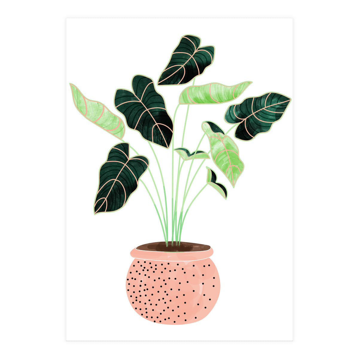Home Plant | Ceramic Botanical Planter Illustration | Minimal Bohemian Watercolor Painting Polka Dot (Print Only)
