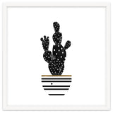 Black Cactus thumbnail