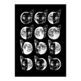 Cat Moon Phases (Print Only) thumbnail