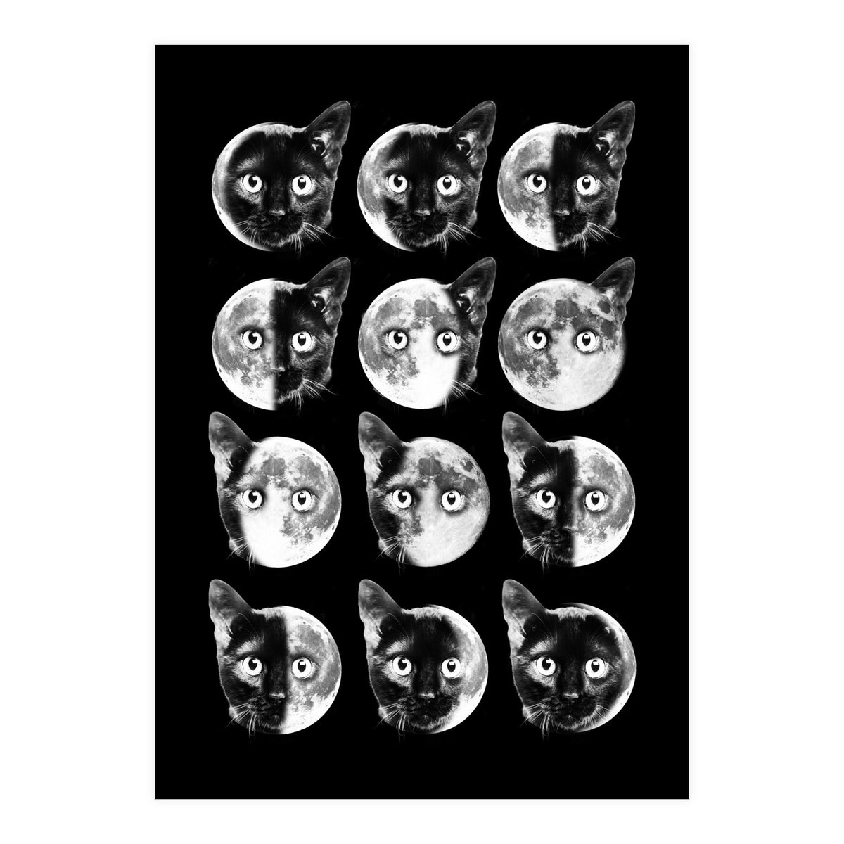 Cat Moon Phases (Print Only)