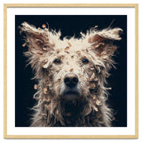 Old Dog 06 thumbnail