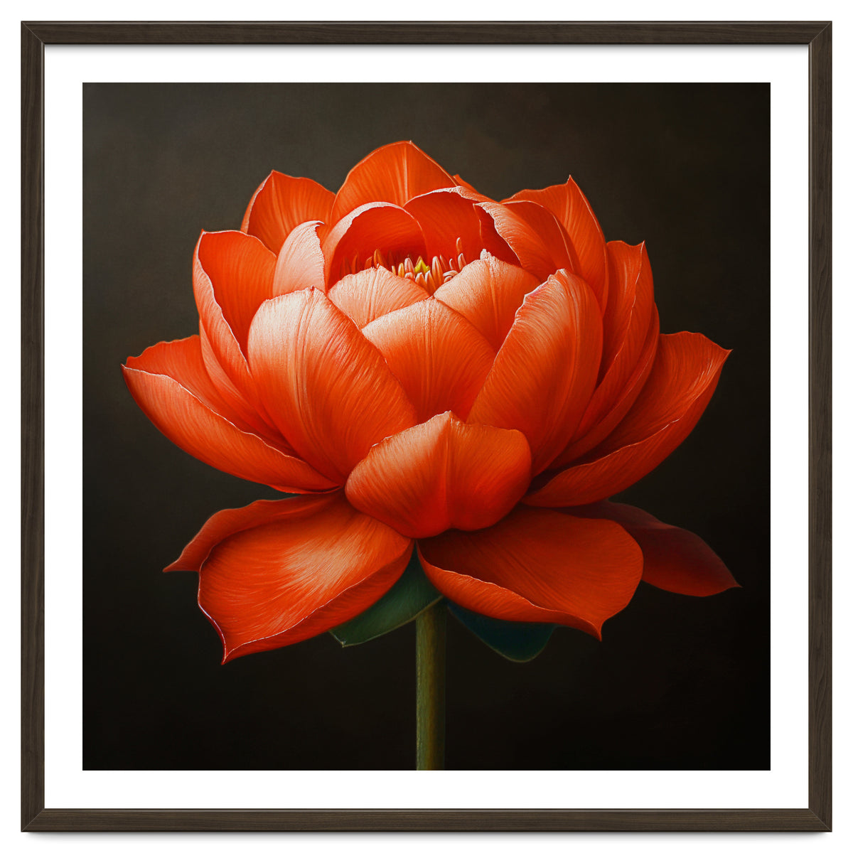 Double Lotus | Scarlet Solace