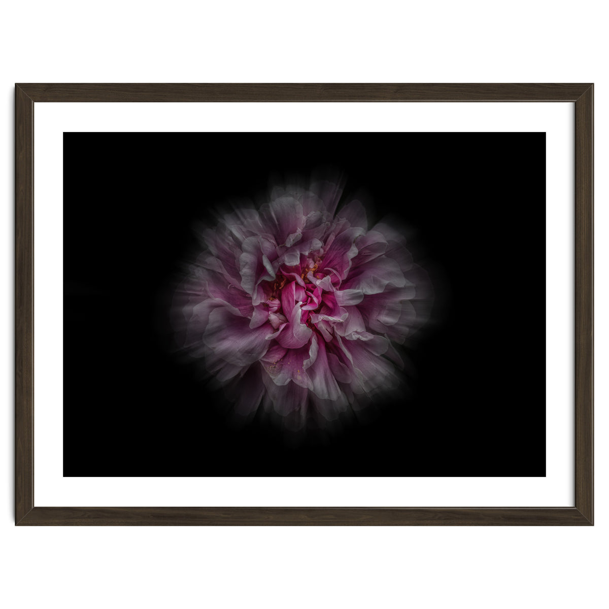 Backyard Flowers No 116 Color Flow Version