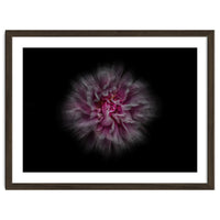 Backyard Flowers No 116 Color Flow Version