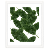 Banana Leaves V2 thumbnail