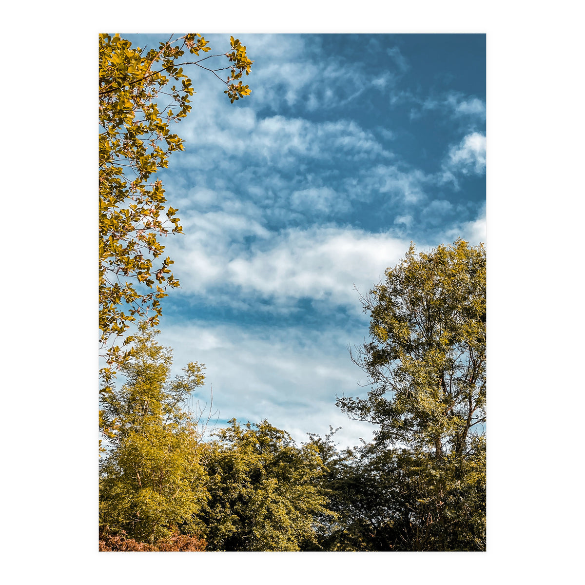 Autumn Evening (Print Only)