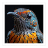 Close Up Of A Colorful Exotic Bird Head (Print Only) thumbnail