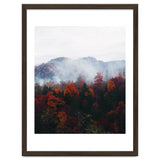 Fog thumbnail
