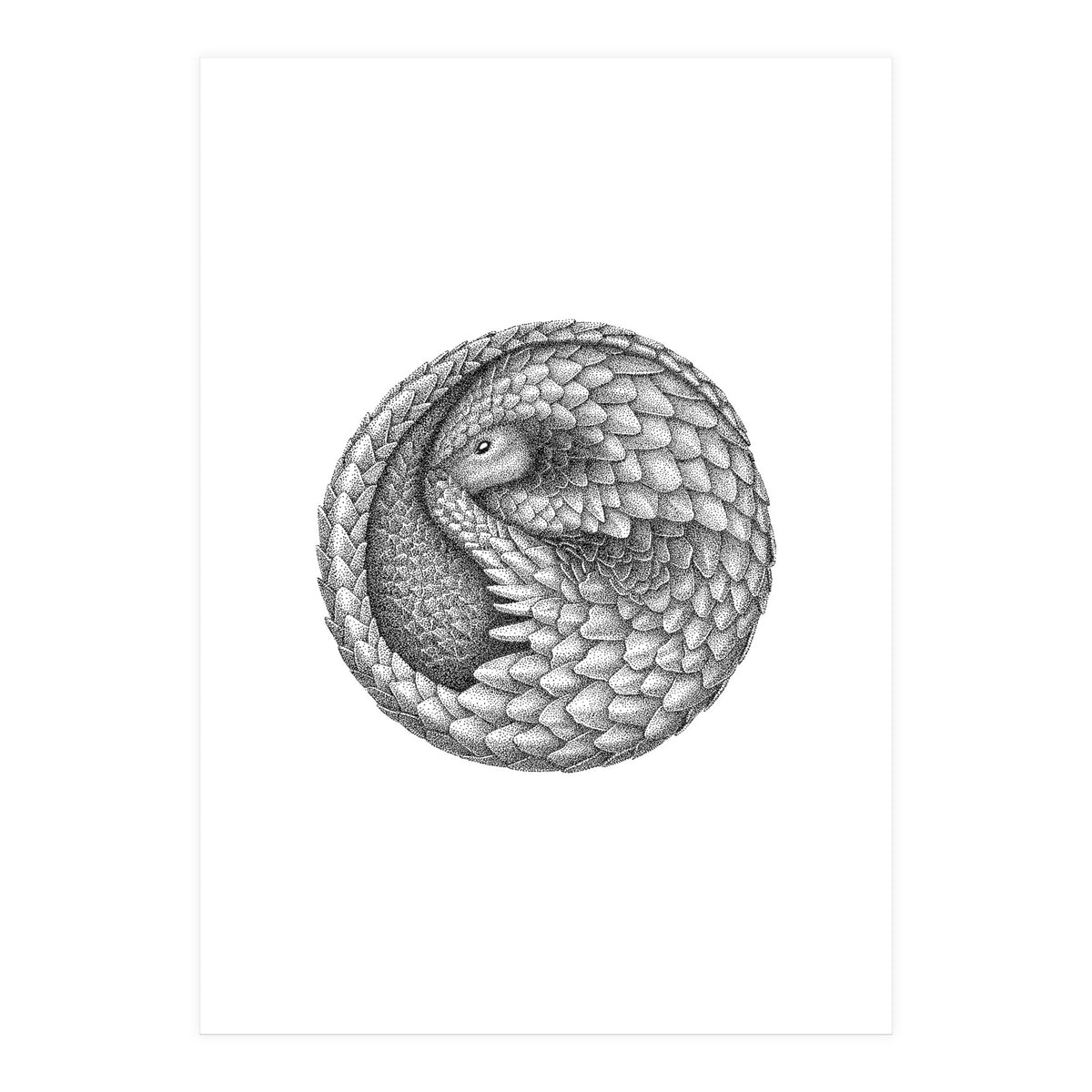 Pangolin no. 2 (Print Only)