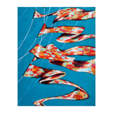 Pennants (Print Only) thumbnail