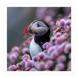 Atlantic Puffin Amidst Pink Heather Flowers (Print Only) thumbnail