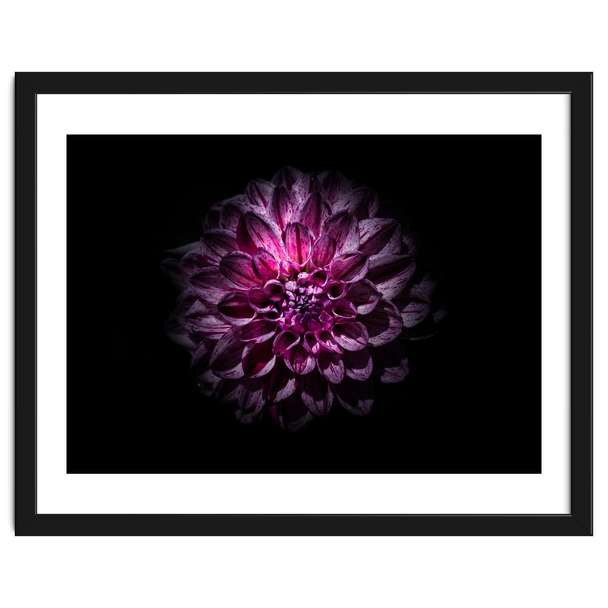 Backyard Flowers No 57 Color Version