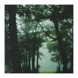 Silence of breath - 13 (Print Only) thumbnail