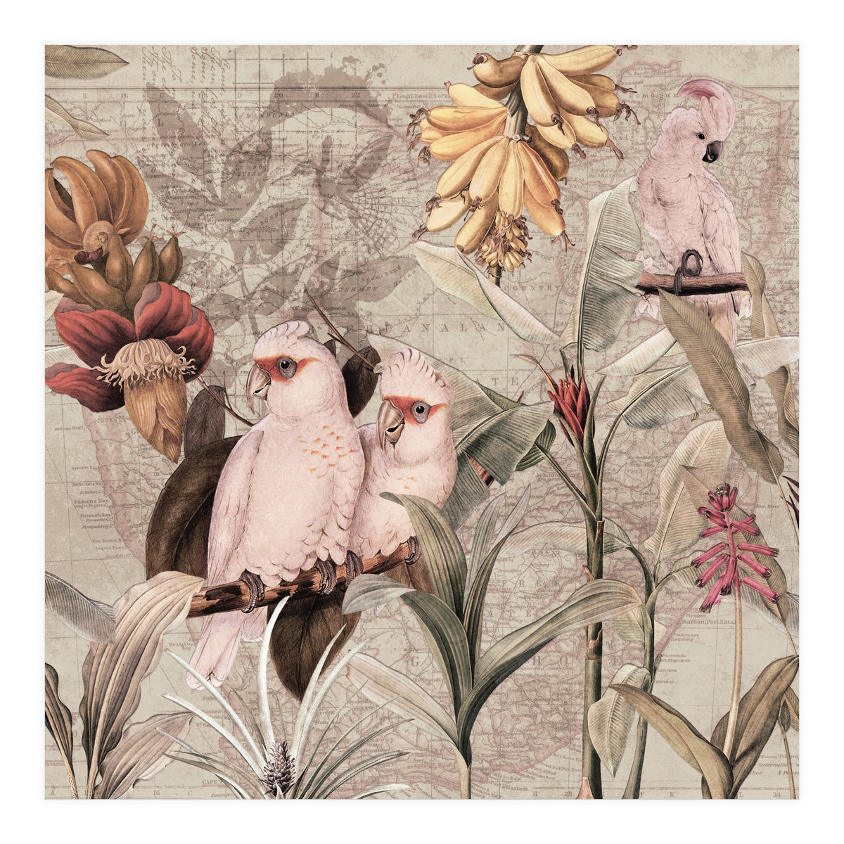 Cockatoo Exotic Bird Jungle  (Print Only)