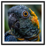 Close Up Of A Wet Macaw Parrot Head thumbnail