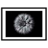 Backyard Flowers In Black And White No 10 Flow Version thumbnail