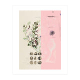 The First Plant · Mix It Up Sunday (Print Only) thumbnail
