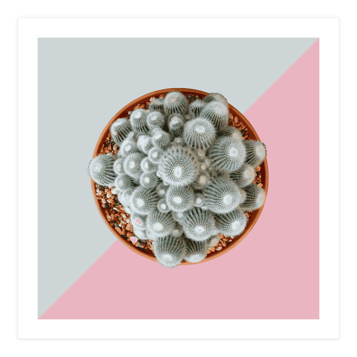 Clementine (Print Only)