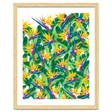 Summer Strelitzia thumbnail