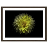 Backyard Flowers No 128 Color Version thumbnail