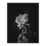 Romantic | Black & White (Print Only) thumbnail