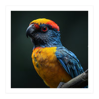 Close Up Colorful Parrot Perched On A Branch (Print Only)
