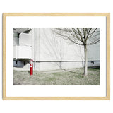 Red light pole and Tree shadow on the wall thumbnail