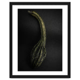 Gourds No 9 Color Version thumbnail