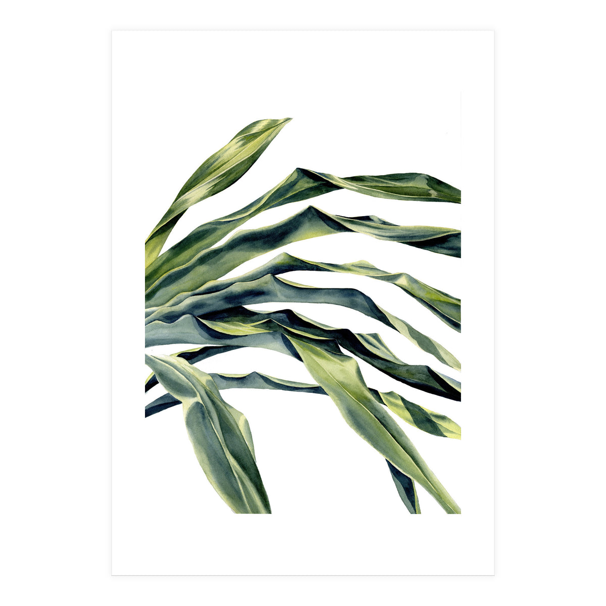Green Palm Leaves (Print Only)