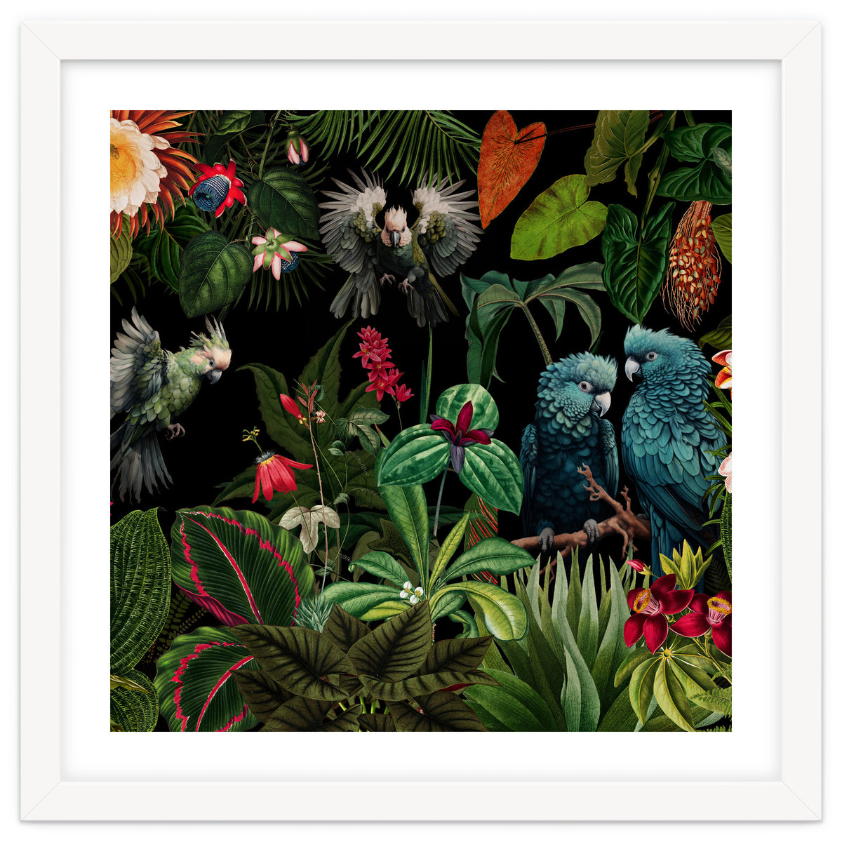 Moody Botanical Midnight Jungle Birds