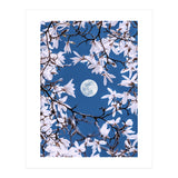 Moon Branches (Print Only) thumbnail