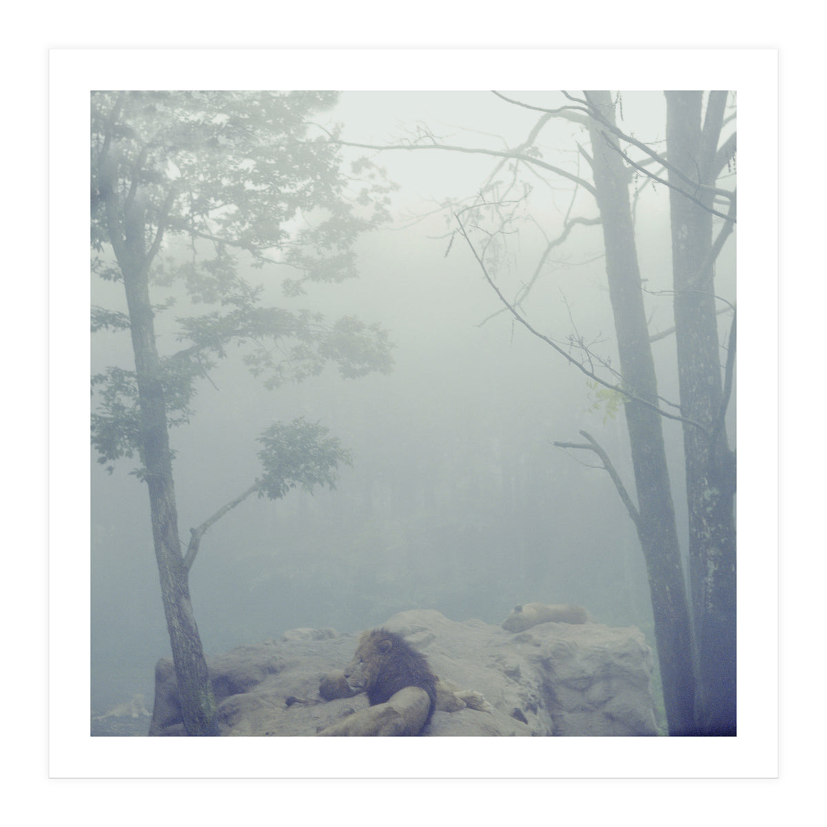 Silence of breath - 02 (Print Only)