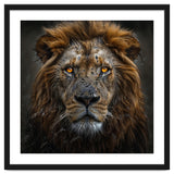 Majestic Lion With Glowing Eyes Close Up Portrait thumbnail