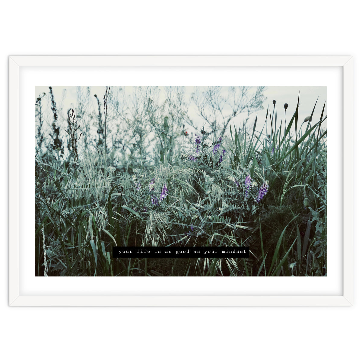 Photography - Summer Garden