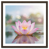 Ethereal Lotus Bloom: Serene Botanical Reflection thumbnail