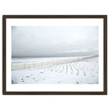 Winter grass in snow beach thumbnail