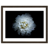Backyard Flowers No 90 Color Version thumbnail