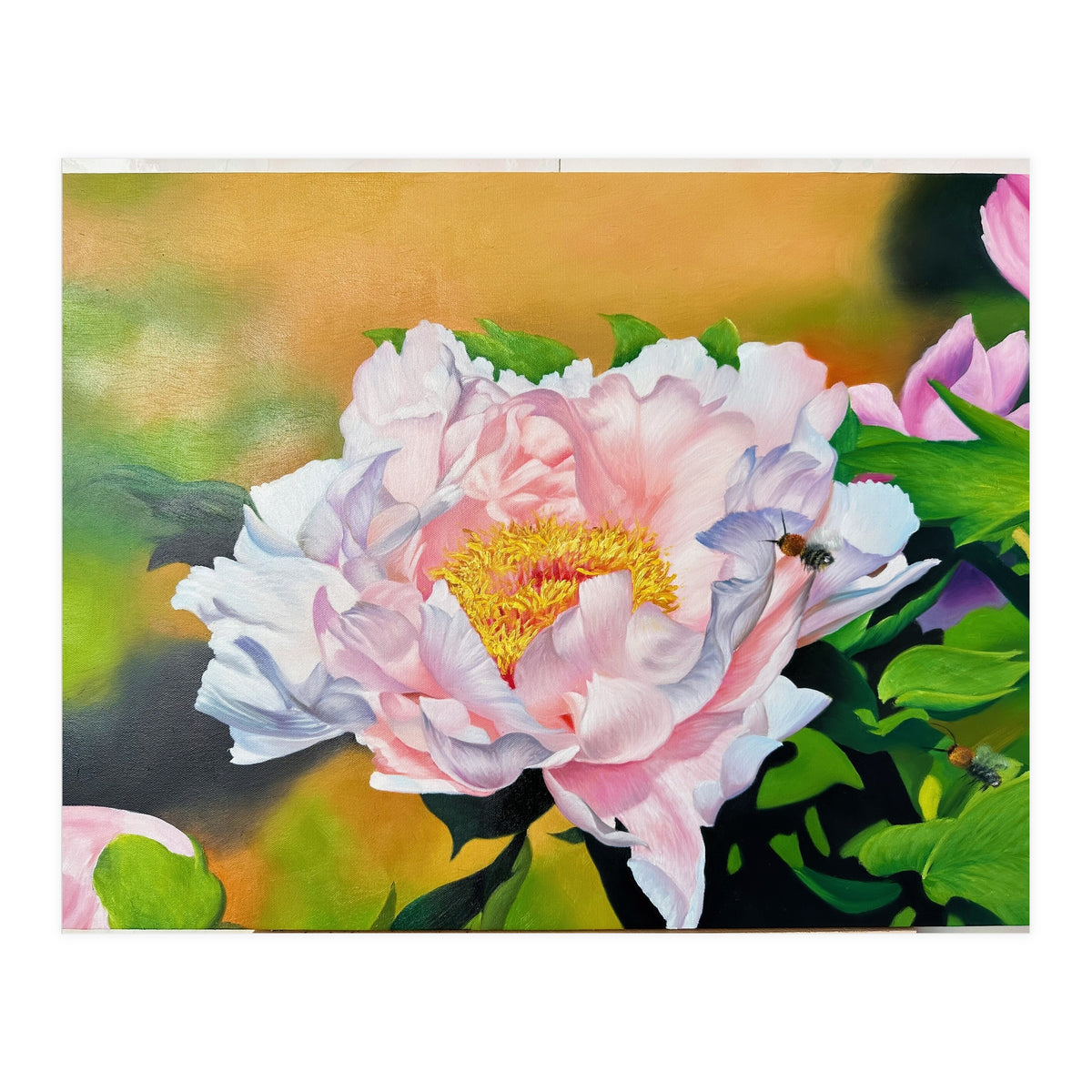 peony (Print Only)