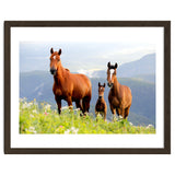 Three Horses thumbnail
