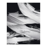 Flybynight  (Print Only) thumbnail