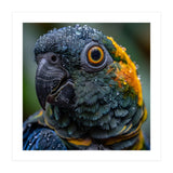 Close Up Of A Wet Macaw Parrot Head (Print Only) thumbnail