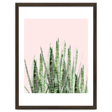 Botanical Balance thumbnail