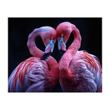 Two Pink Flamingos Forming A Heart Shape (Print Only) thumbnail