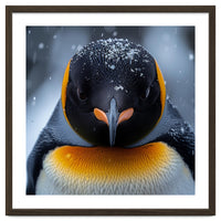 Close Up King Penguin In The Snow