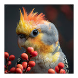 Close Up Of A Cockatiel Parrot With Orange Crest (Print Only) thumbnail