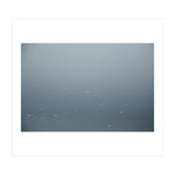 Flying Segulls in thet winter sky (Print Only) thumbnail
