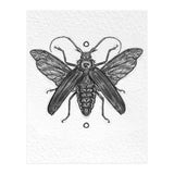 Riesen Longhorn Käfer (Print Only) thumbnail