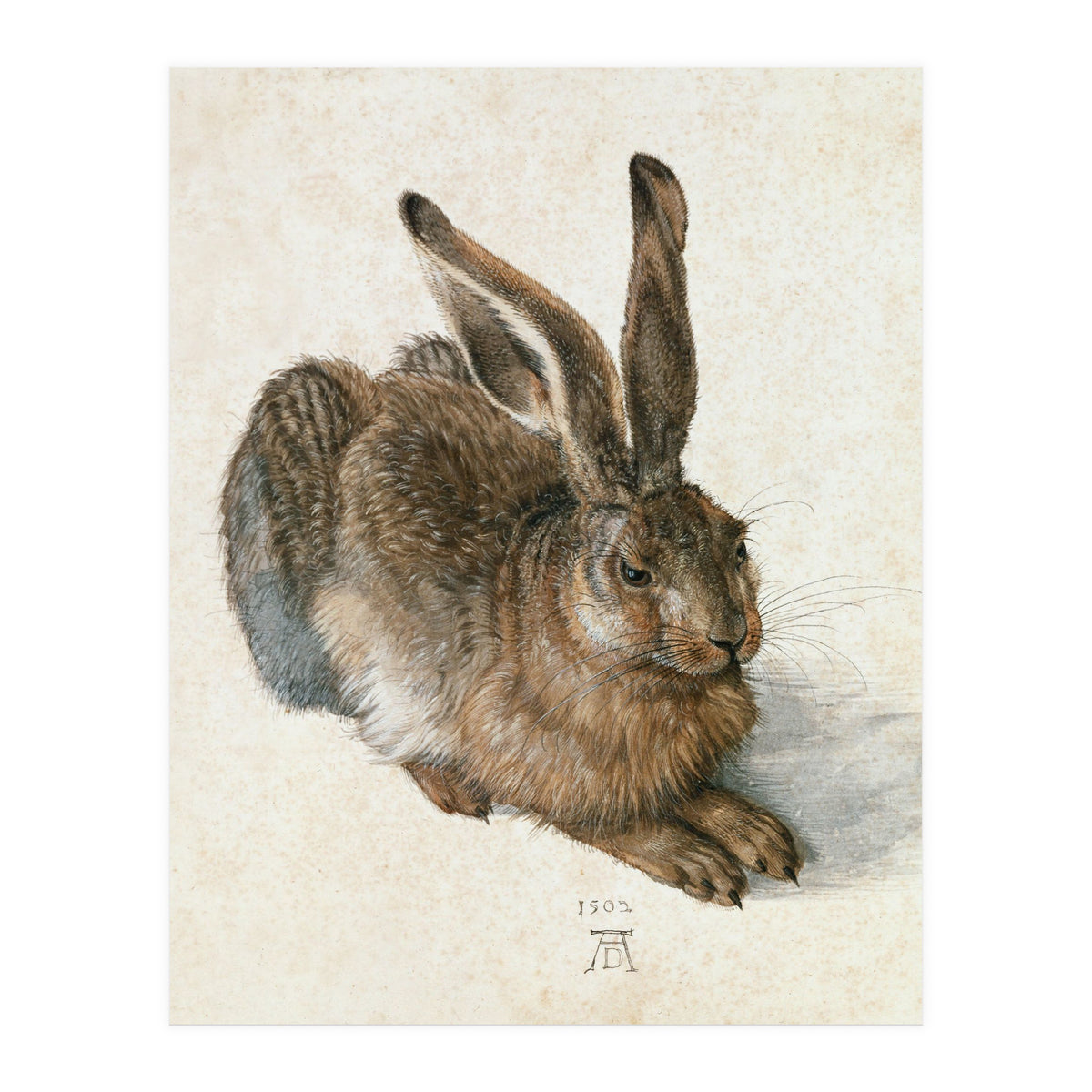 Hare-Hase. Watercolour. (Print Only)